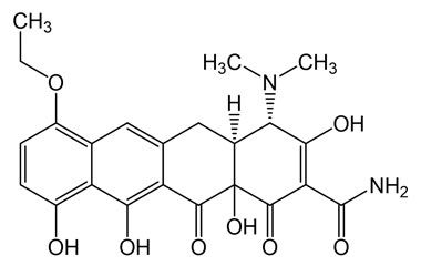 PAI 04 287003