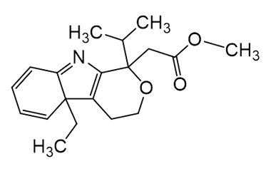 PAI 05 003112