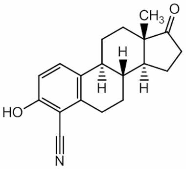 PAI 05 005030