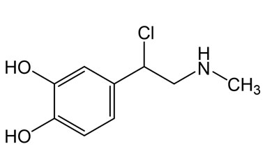 PAI 05 006021