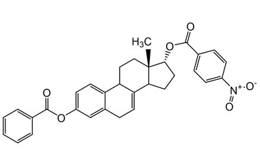 PAI 05 011006