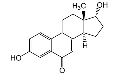 PAI 05 011019