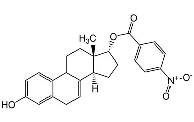 PAI 05 011020