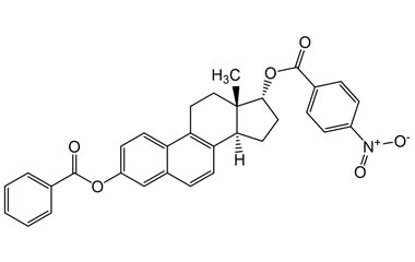 PAI 05 011024