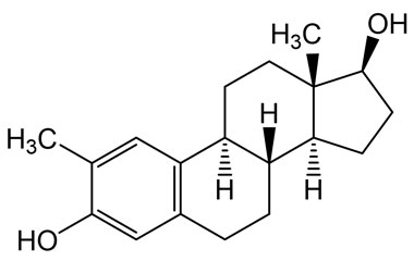 PAI 05 022002