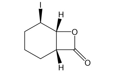 PAI 05 082025