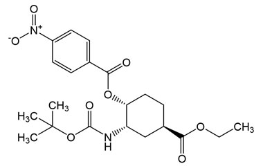 PAI 05 082040