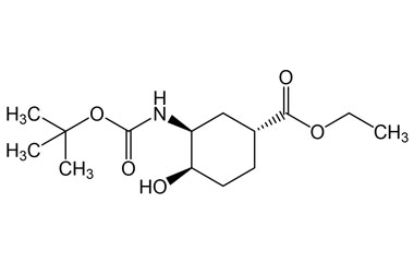 PAI 05 082041