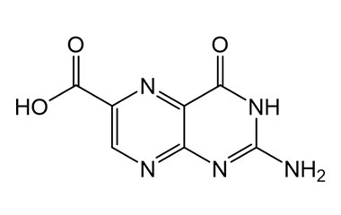 PAI 06 003153