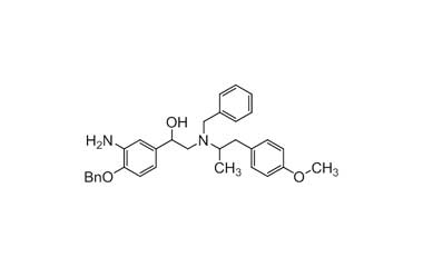 PAI 06 013050