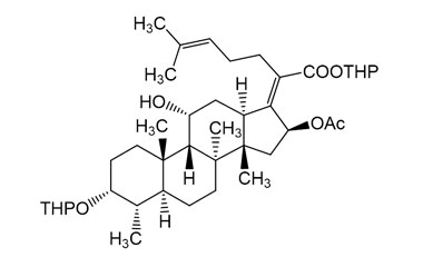 PAI 06 014221