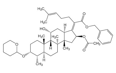 PAI 06 014225