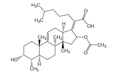 PAI 06 014227