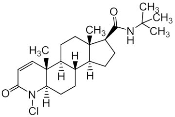 PAI 06 015021