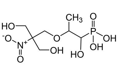 PAI 06 064004