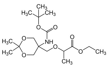 PAI 06 174001