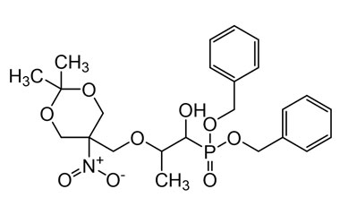 PAI 06 174005