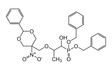 PAI 06 174010