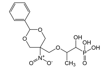 PAI 06 174011