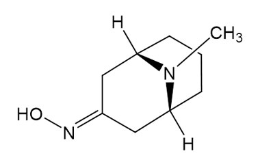 PAI 07 005051