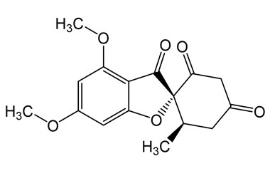 PAI 07 015003