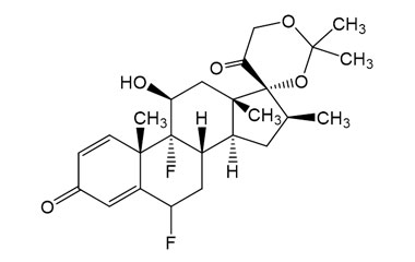 PAI 08 004073