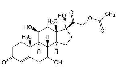 PAI 08 005193