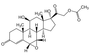 PAI 08 005196