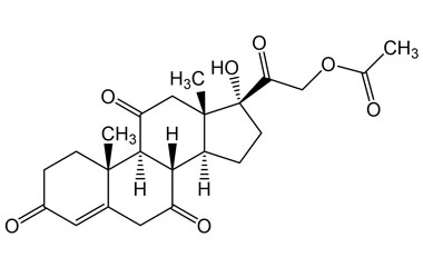 PAI 08 005199