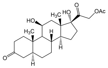 PAI 08 005209