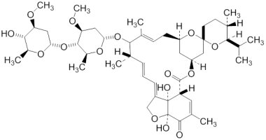 PAI 09 005021