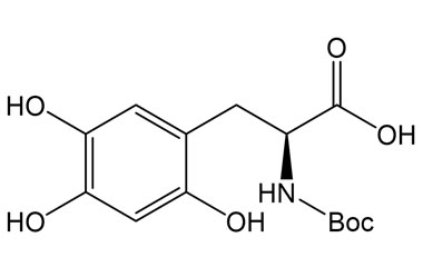 PAI 12 012004