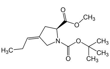 PAI 12 045001