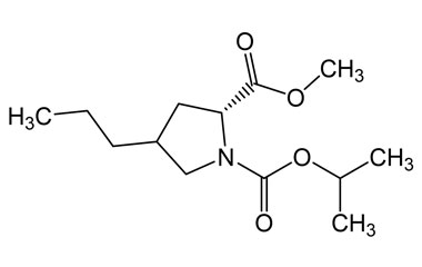 PAI 12 045008