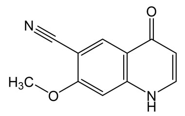 PAI 12 097005