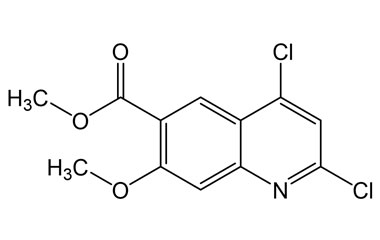 PAI 12 097007