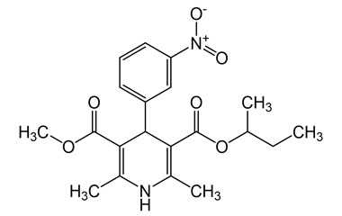 PAI 12 163002