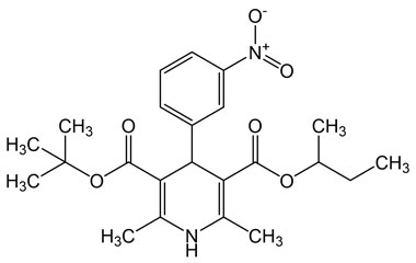 PAI 12 163004