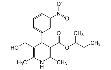 PAI 12 163005