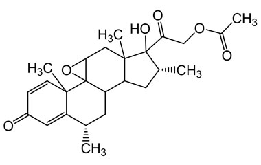 PAI 13 003124