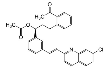 PAI 13 004047