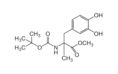 PAI 13 070006