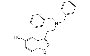 PAI 13 085013