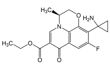 PAI 16 355003