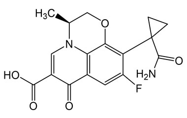 PAI 16 355004