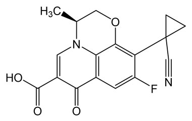 PAI 16 355005