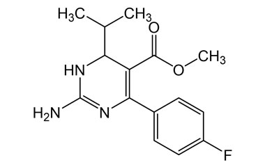 PAI 18 013087