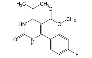 PAI 18 013095