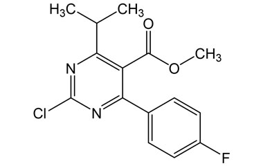 PAI 18 013096