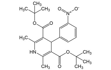 PAI 19 040008